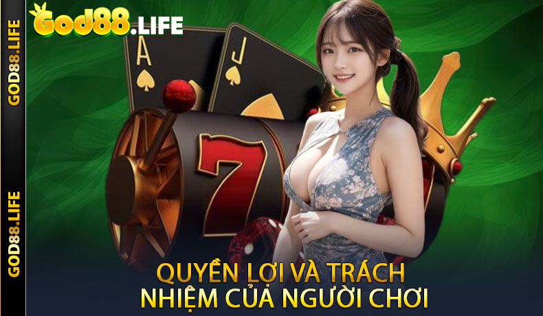 Các điều khoản liên quan